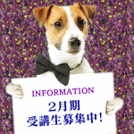 info_dog_boshu_201802