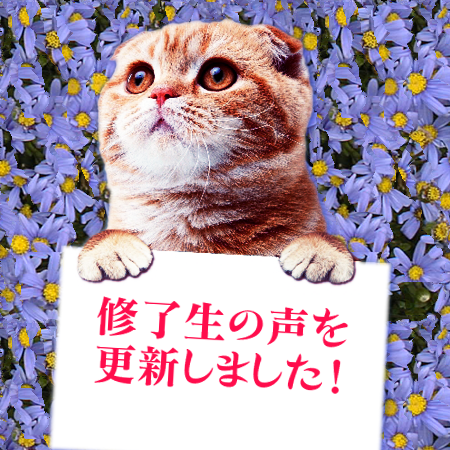 info_cat_impression_update_201802