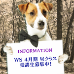 info_dog_WS_boshu_201804