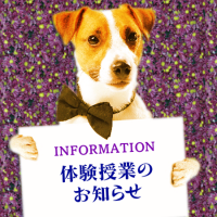 info_dog_trialclass